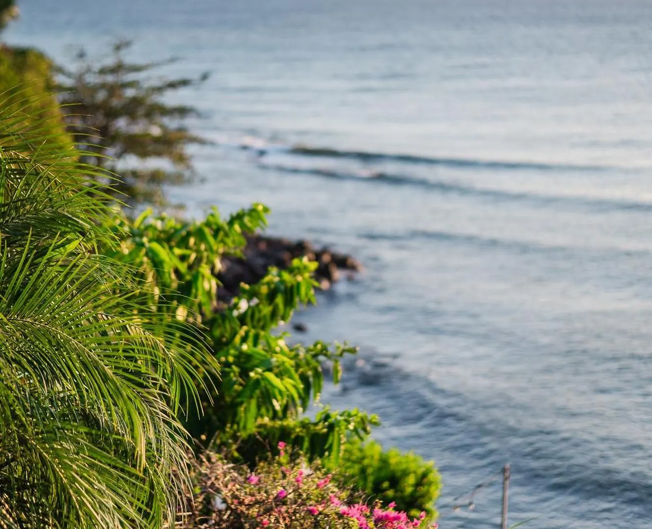 Sunset Reef St. Kitts Hotel Ottley's