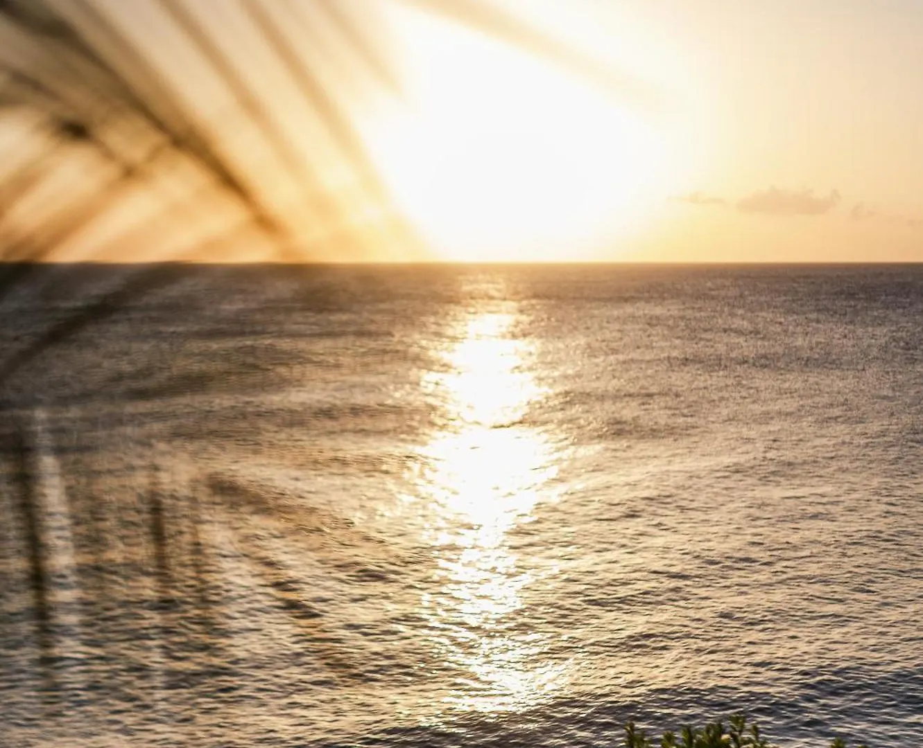 فندق Sunset Reef St. Kitts Ottleyʼs Village 5*,  سانت كيتس ونيفيس